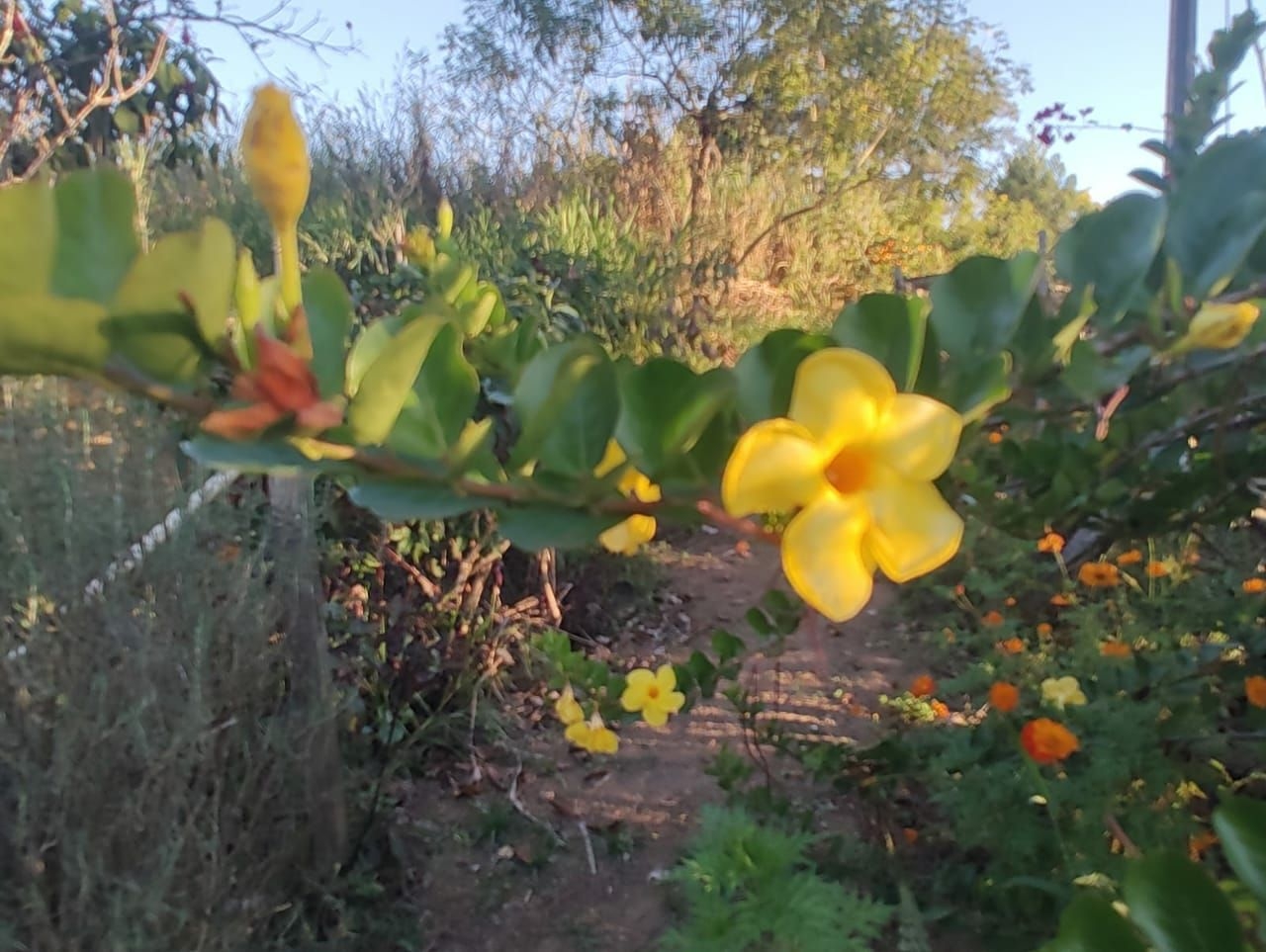 Sítio, 3 quartos, 300 m² - Foto 16