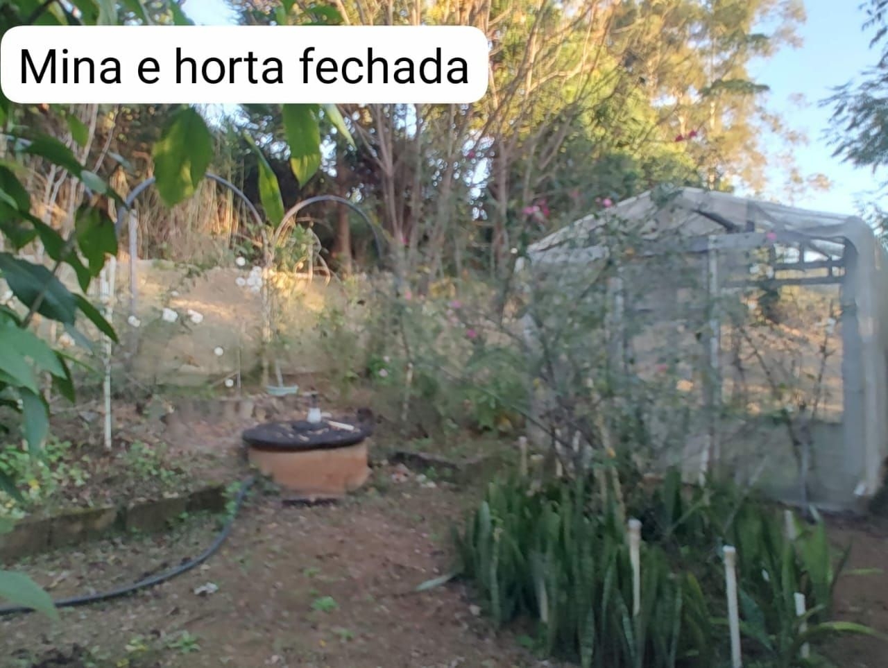 Sítio, 3 quartos, 300 m² - Foto 18