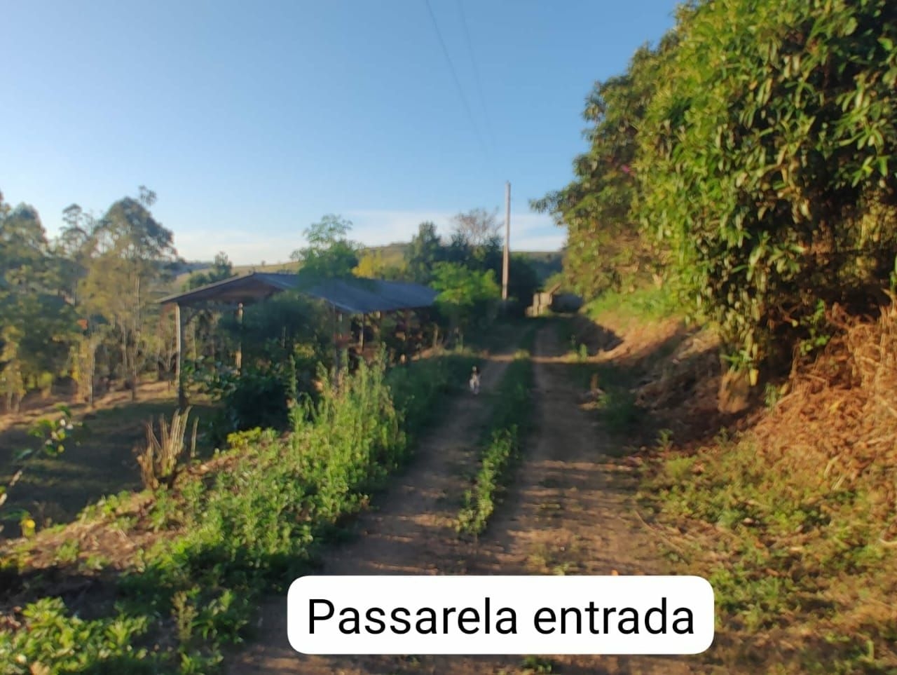 Sítio, 3 quartos, 300 m² - Foto 19