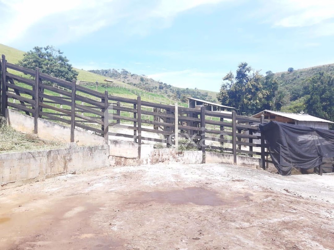 Sítio, 1 quarto, 500 m² - Foto 3