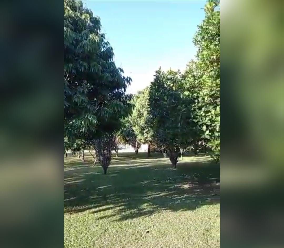 Chácara, 4 quartos, 2 hectares - Foto 7