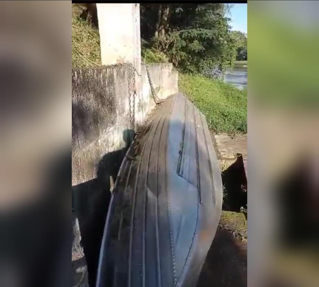 Chácara, 4 quartos, 2 hectares - Foto 8