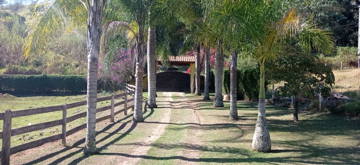 Chácara, 4 quartos, 2 hectares - Foto 13