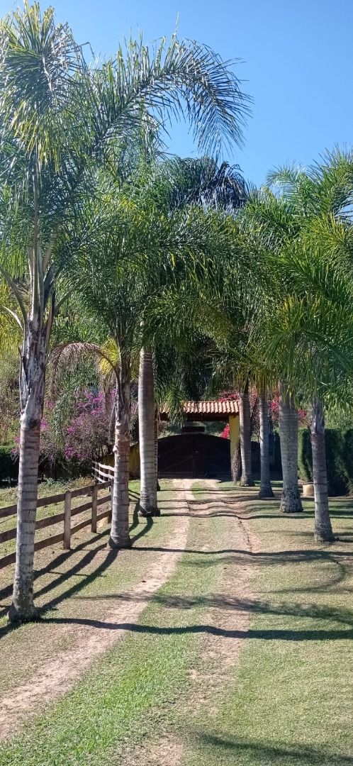 Chácara, 4 quartos, 2 hectares - Foto 14
