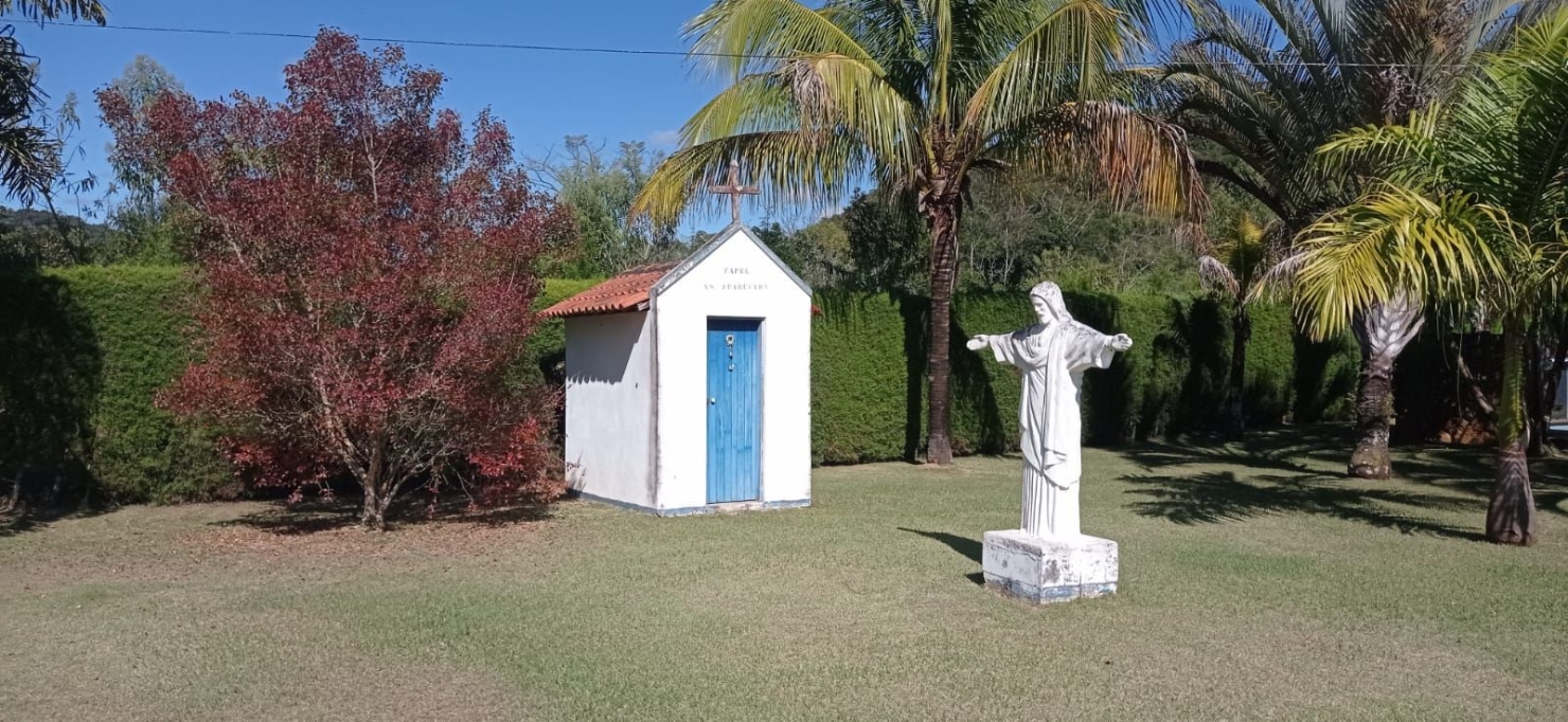 Chácara, 4 quartos, 2 hectares - Foto 19