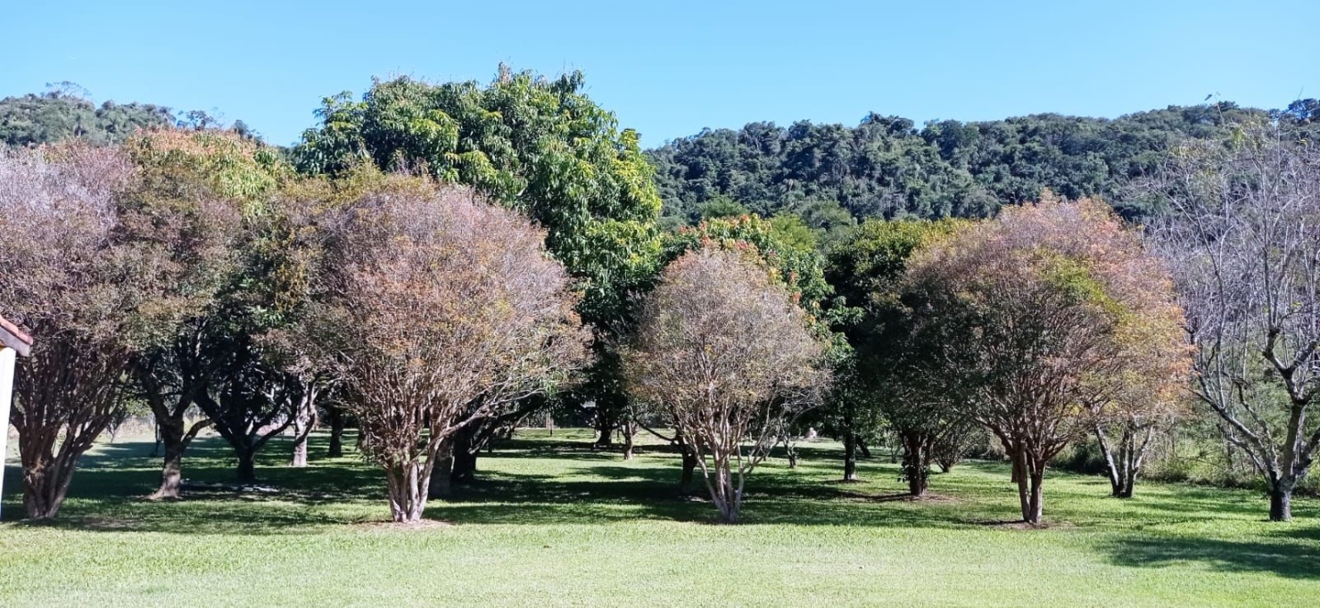 Chácara, 4 quartos, 2 hectares - Foto 21