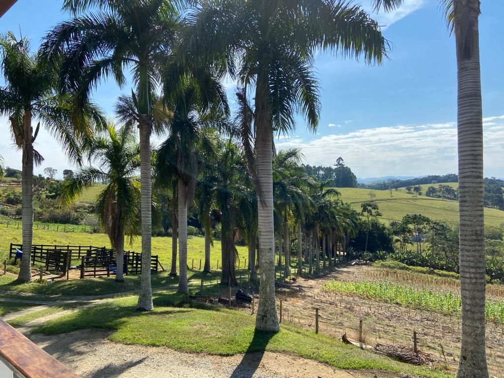 Chácara, 5 quartos, 450 m² - Foto 3