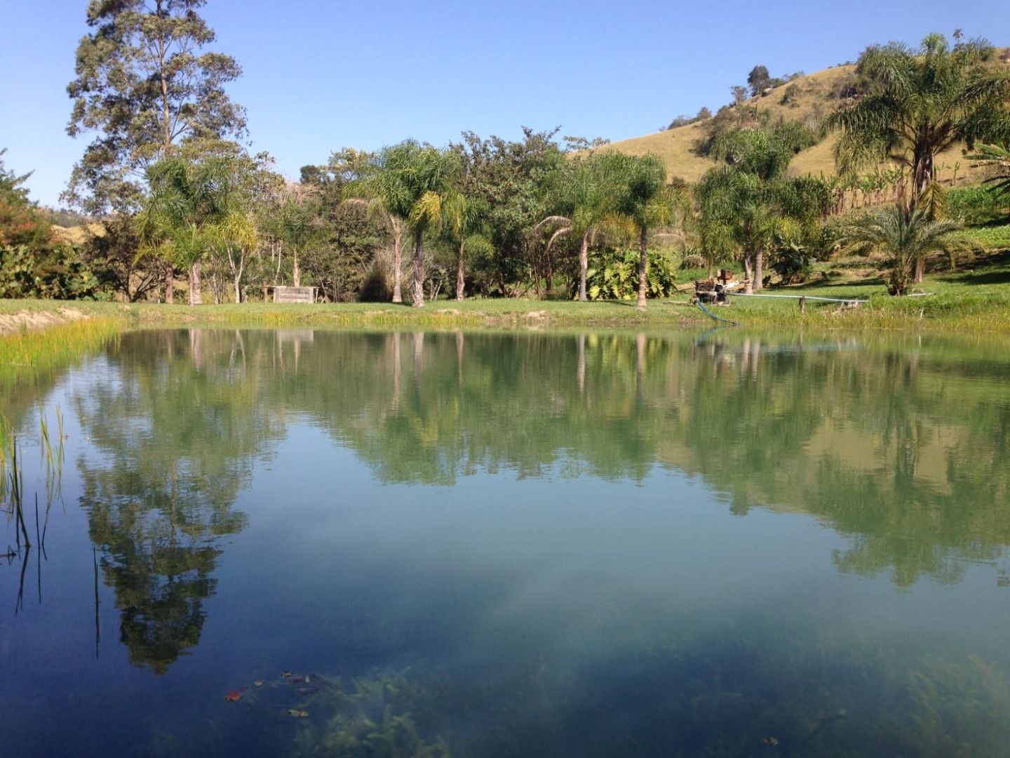 Chácara, 5 quartos, 450 m² - Foto 9