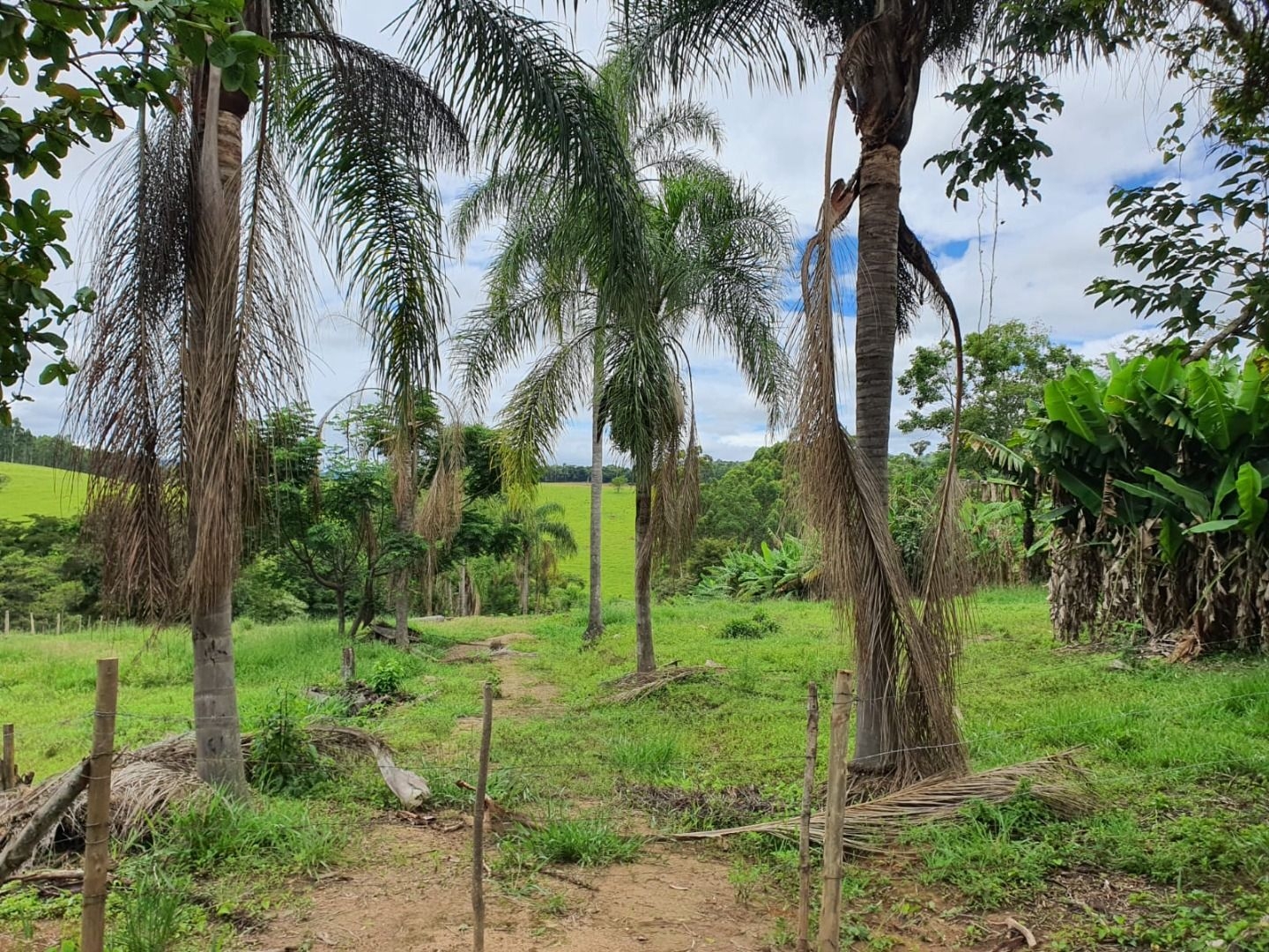 Chácara, 5 quartos, 450 m² - Foto 17