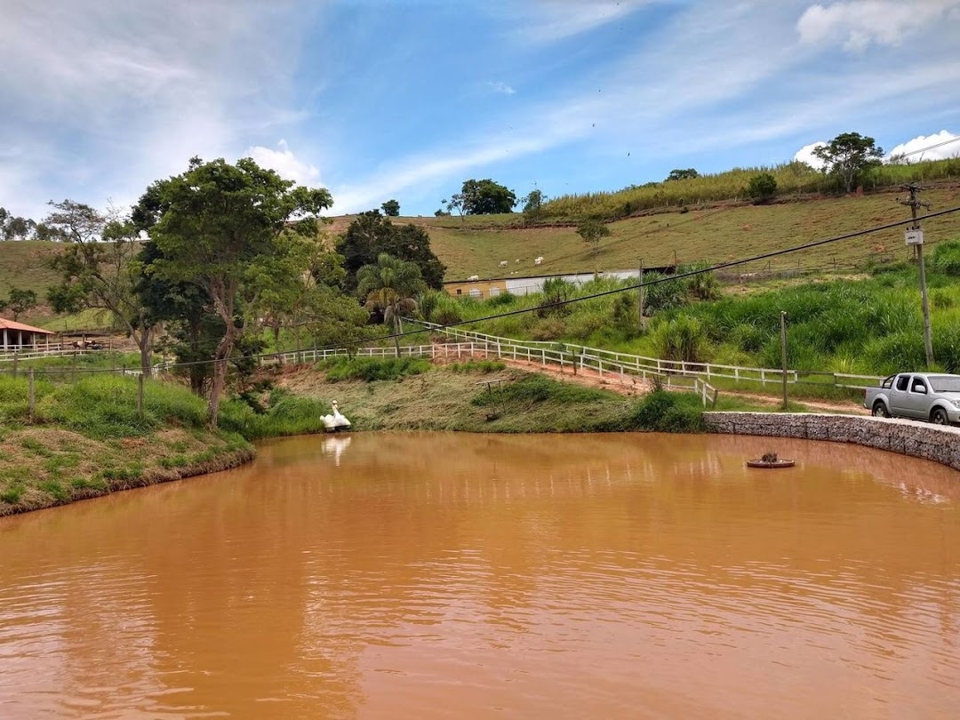 Sítio, 3 quartos, 300 m² - Foto 1