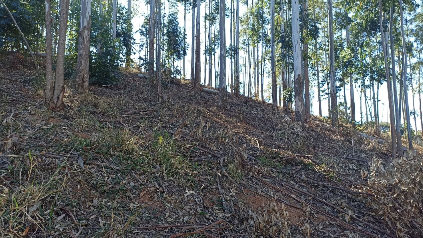 Terreno, 100 m² - Foto 2