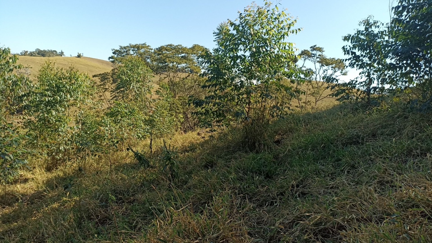 Terreno, 100 m² - Foto 3