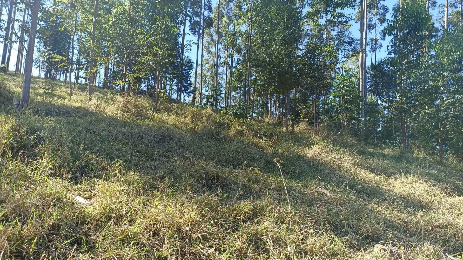 Terreno, 100 m² - Foto 4