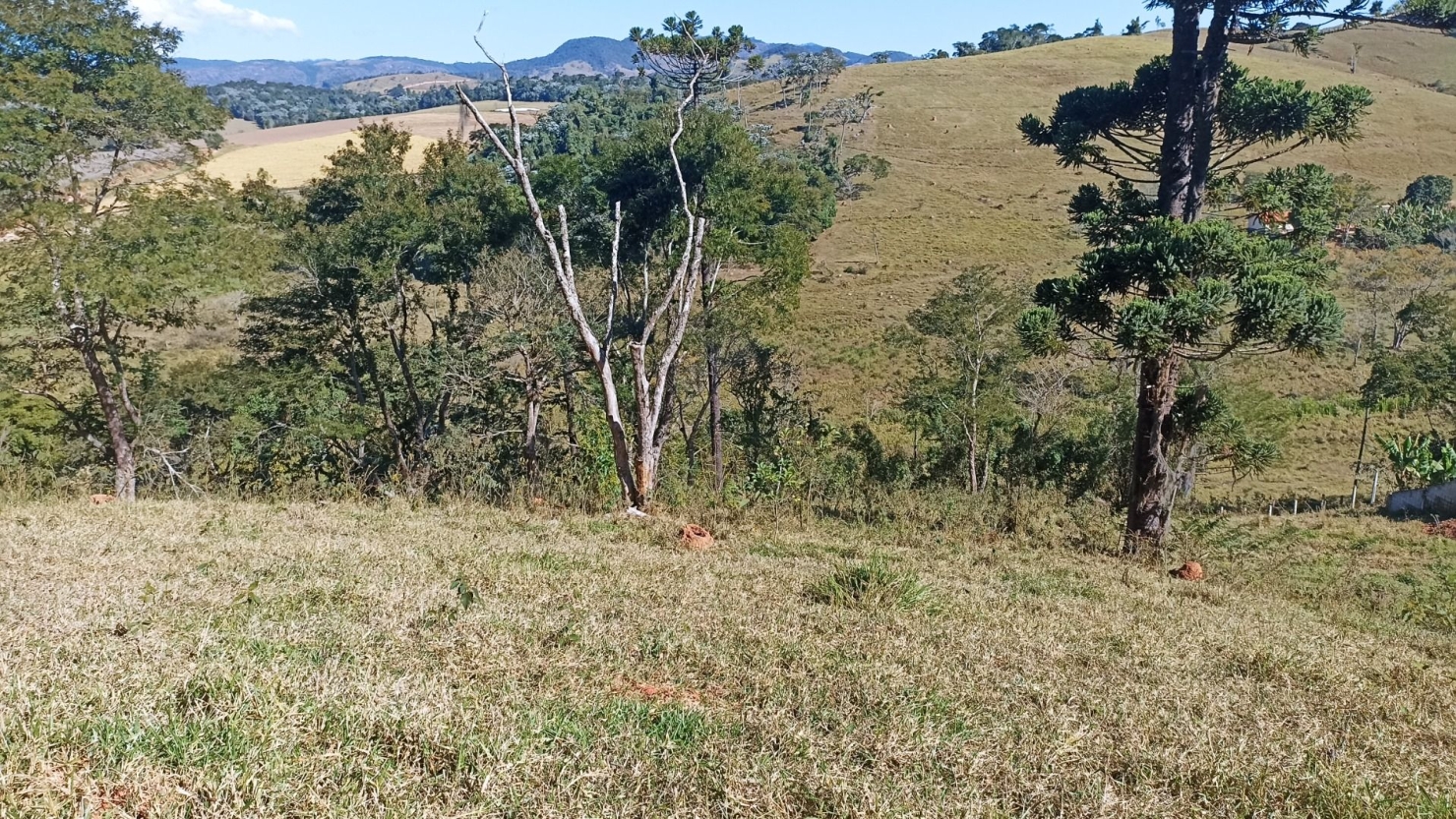 Terreno, 100 m² - Foto 5