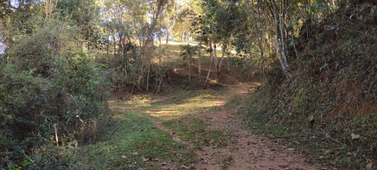 Sítio, 1 quarto, 15 hectares - Foto 5