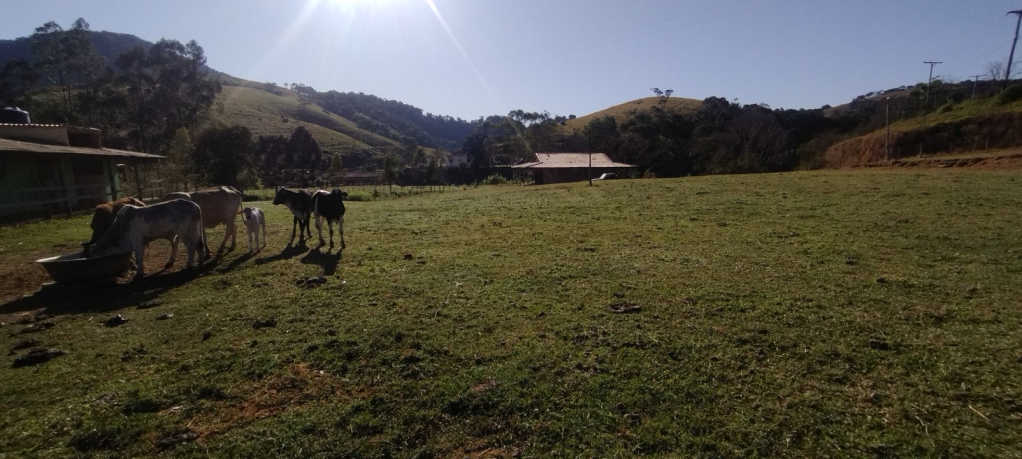 Sítio, 1 quarto, 15 hectares - Foto 12