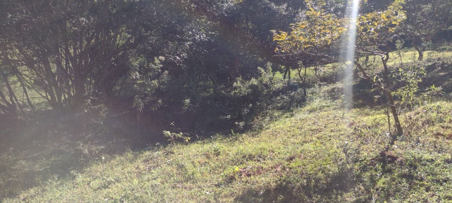 Sítio, 1 quarto, 15 hectares - Foto 22