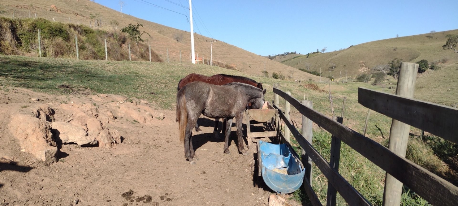 Sítio, 1 quarto, 15 hectares - Foto 24