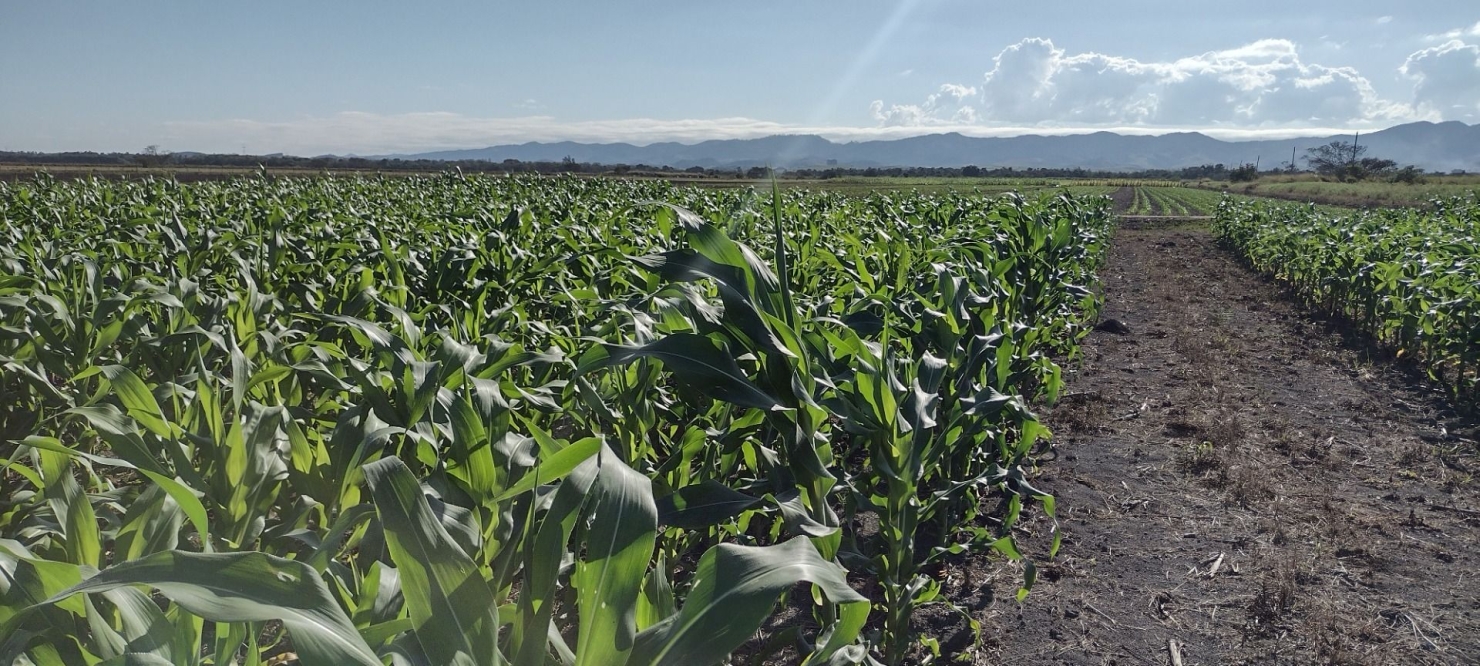 Fazenda, 100 m² - Foto 1