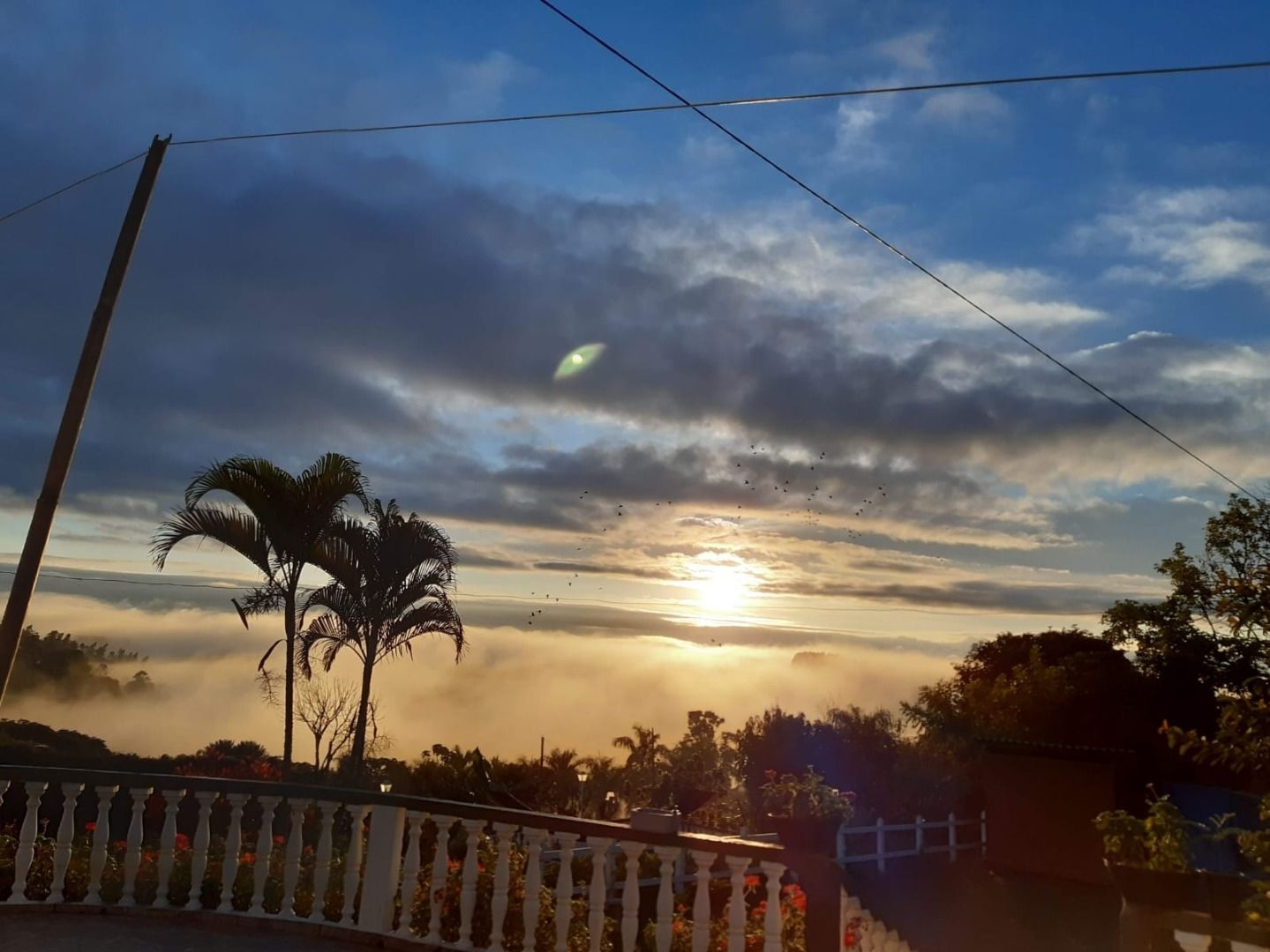 Chácara, 4 quartos, 350 m² - Foto 4