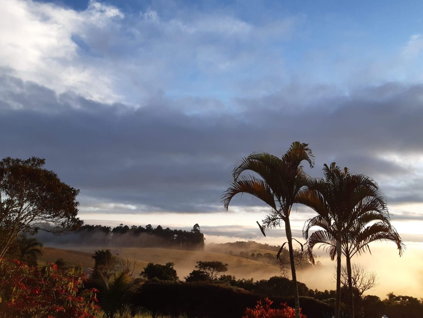 Chácara, 4 quartos, 350 m² - Foto 5