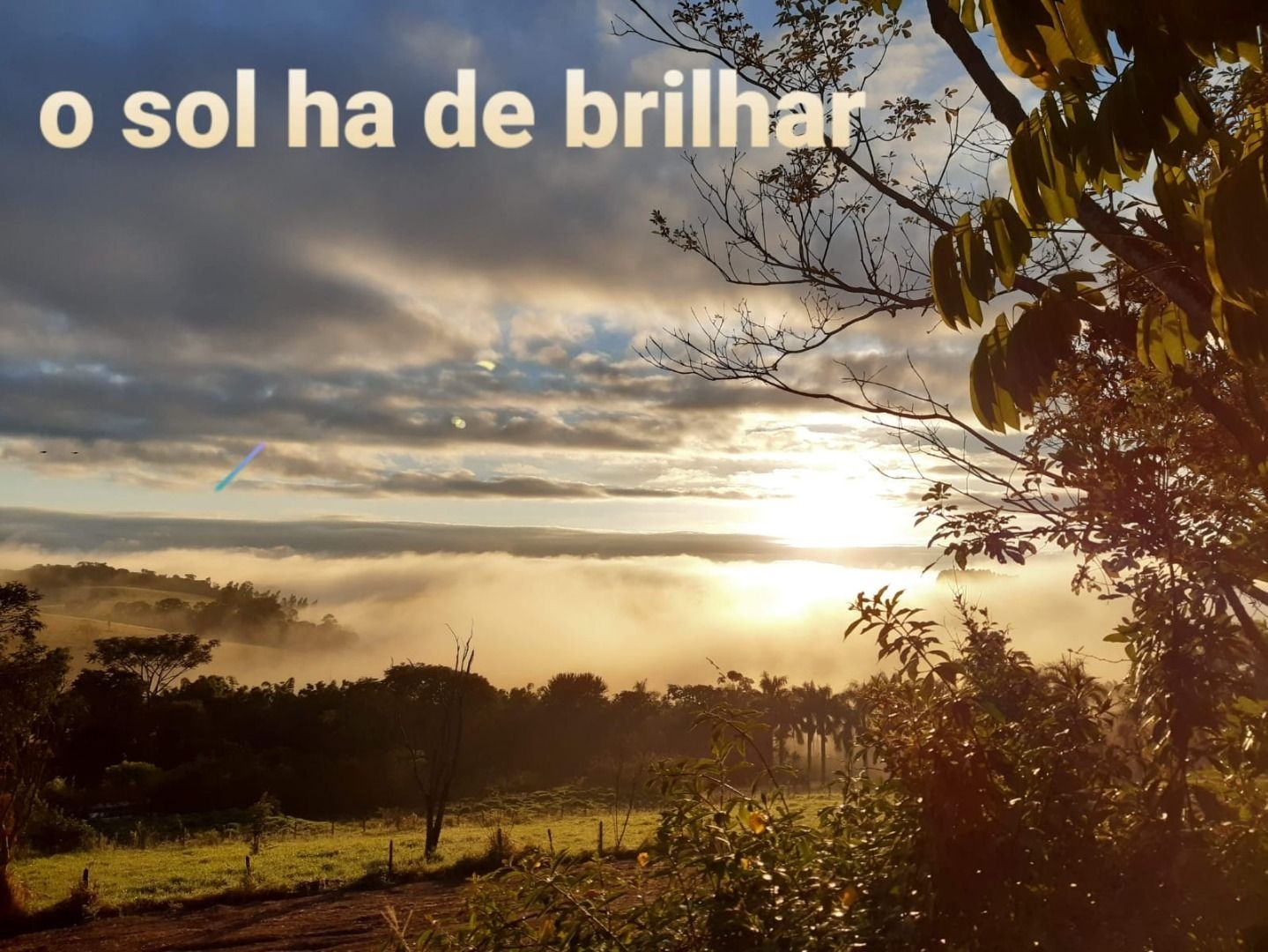 Chácara, 4 quartos, 350 m² - Foto 6