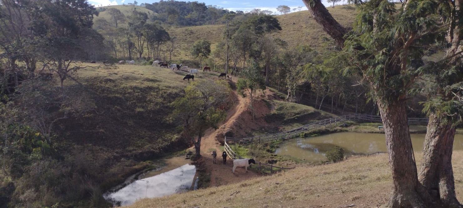 Sítio, 1 quarto, 15 hectares - Foto 2