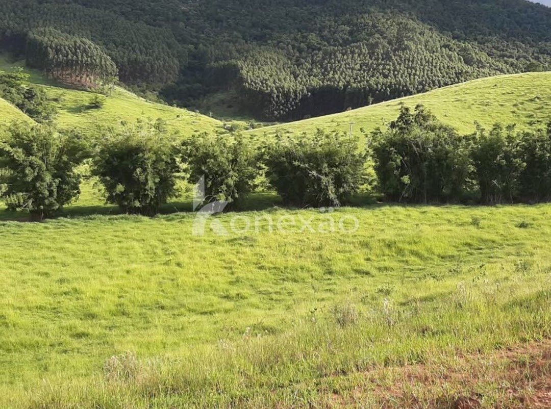 Fazenda, 400 m² - Foto 3