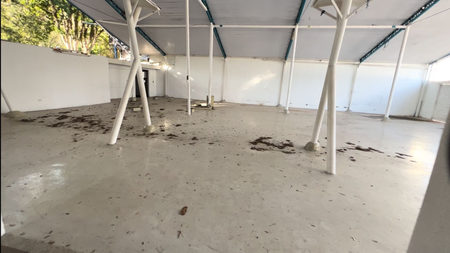 Sala-Conjunto, 702 m² - Foto 2