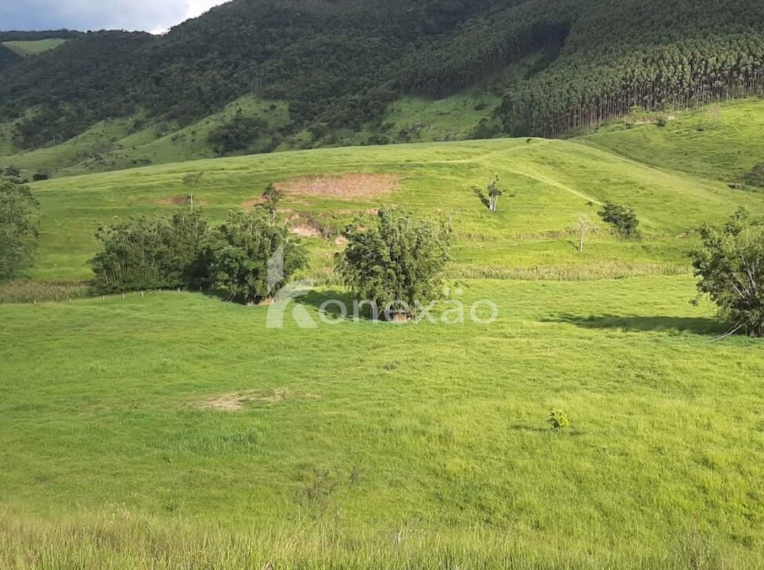 Fazenda, 400 m² - Foto 4