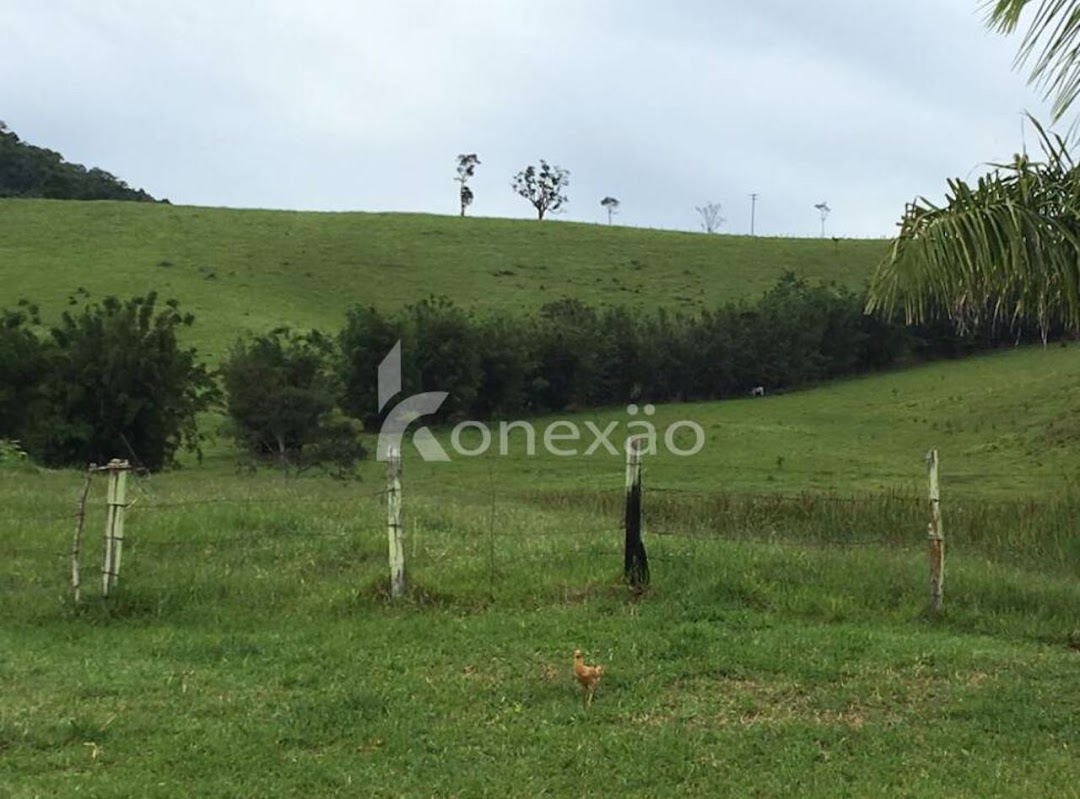 Fazenda em Santa Branca/São Paulo — Ref JYB0KX — Imagem 20