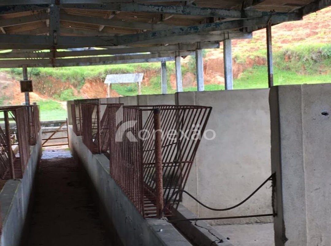 Fazenda em Santa Branca/São Paulo — Ref JYB0KX — Imagem 13