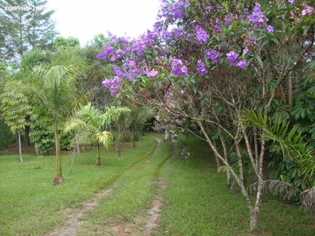 Chácara em Paraibuna/São Paulo — Ref 0NB58V — Imagem 16