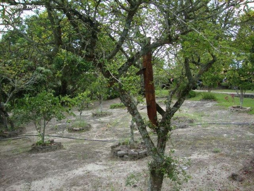 Chácara em Paraibuna/São Paulo — Ref 0NB58V — Imagem 14