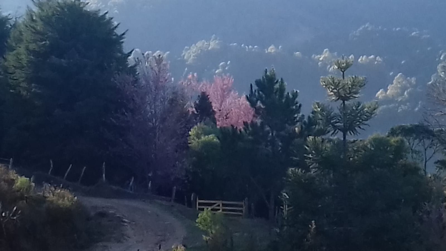 Terreno, 20 hectares - Foto 2