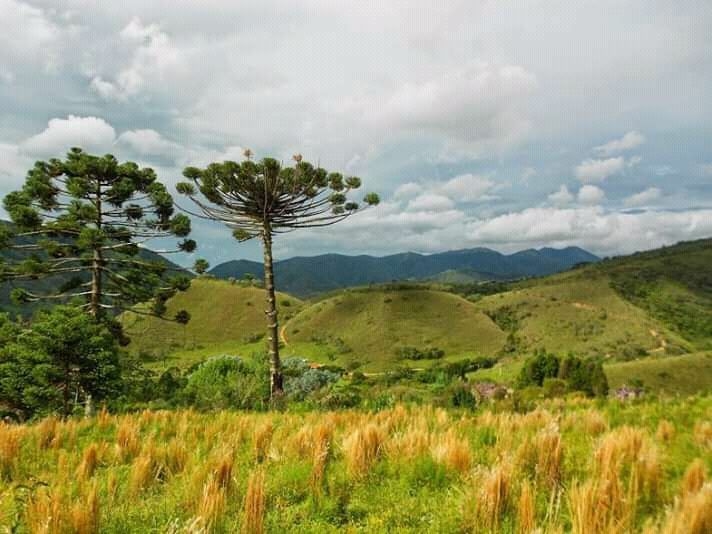 Terreno, 20 hectares - Foto 7
