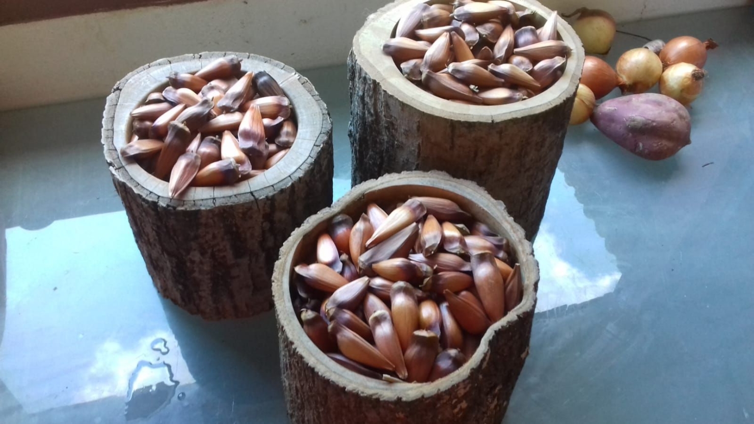 Terreno, 20 hectares - Foto 8