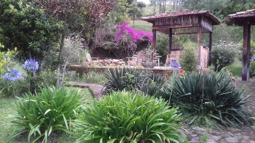 Terreno, 20 hectares - Foto 10