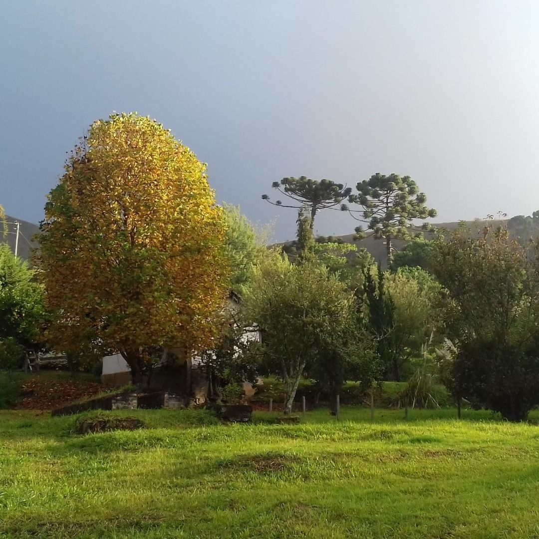 Terreno, 20 hectares - Foto 13