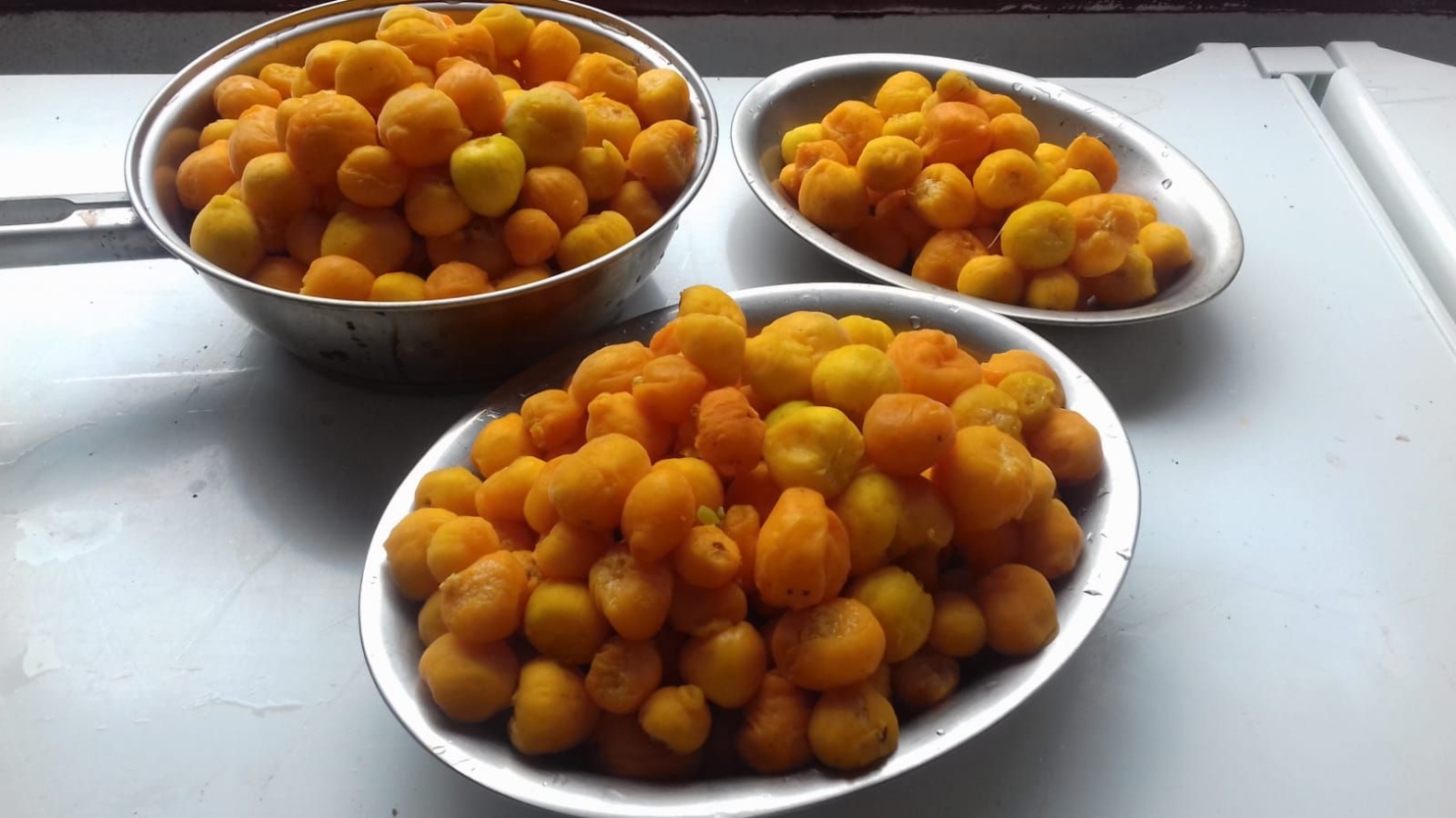 Terreno, 20 hectares - Foto 15