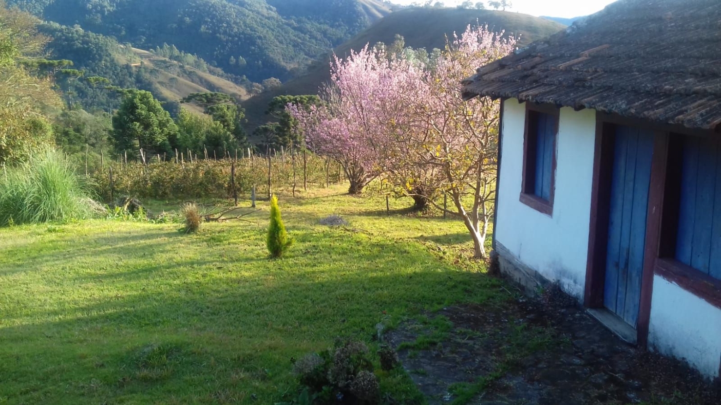 Terreno, 20 hectares - Foto 22