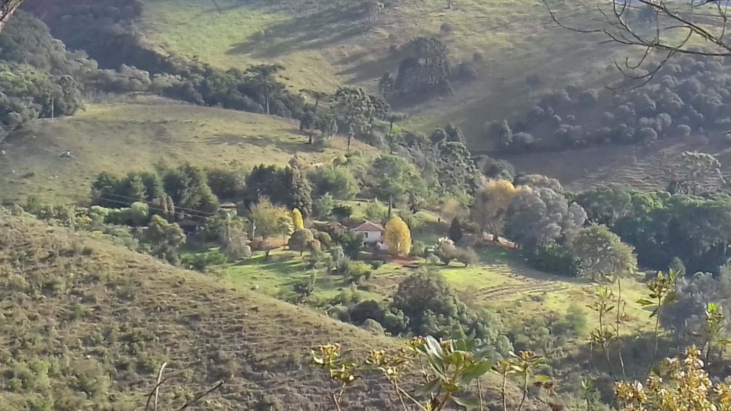 Terreno, 20 hectares - Foto 24