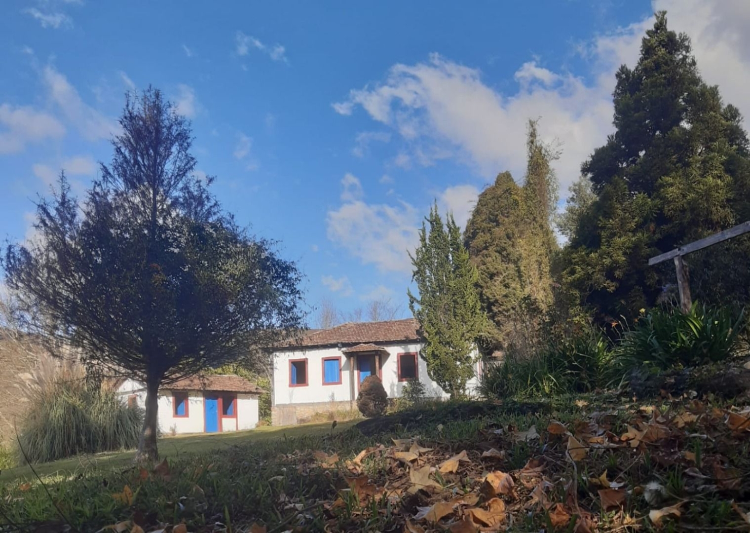 Terreno, 20 hectares - Foto 25