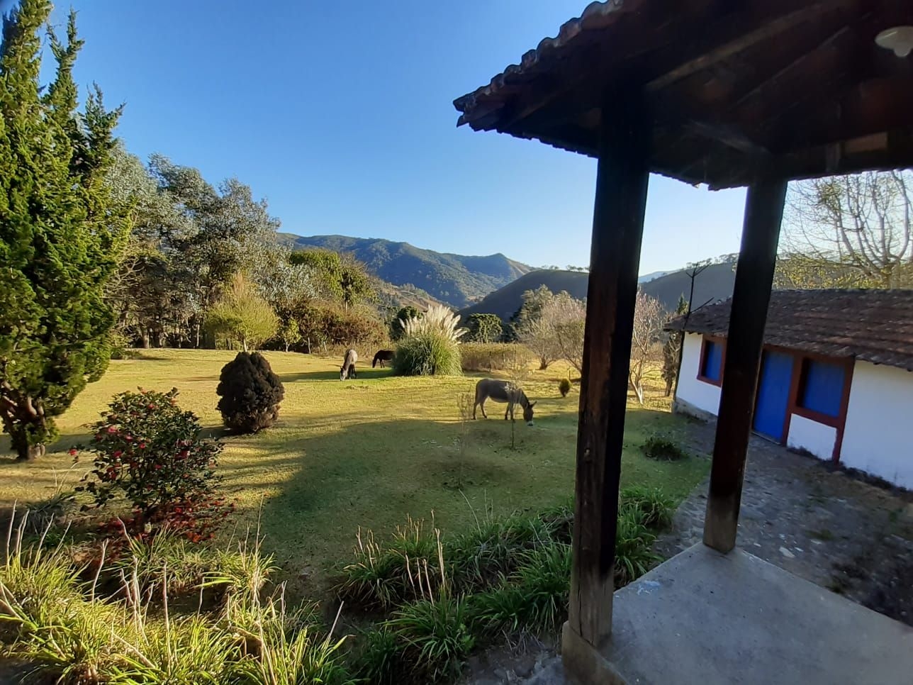 Terreno, 20 hectares - Foto 26