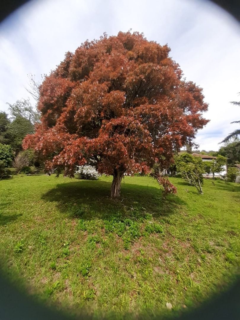 Terreno, 20 hectares - Foto 27