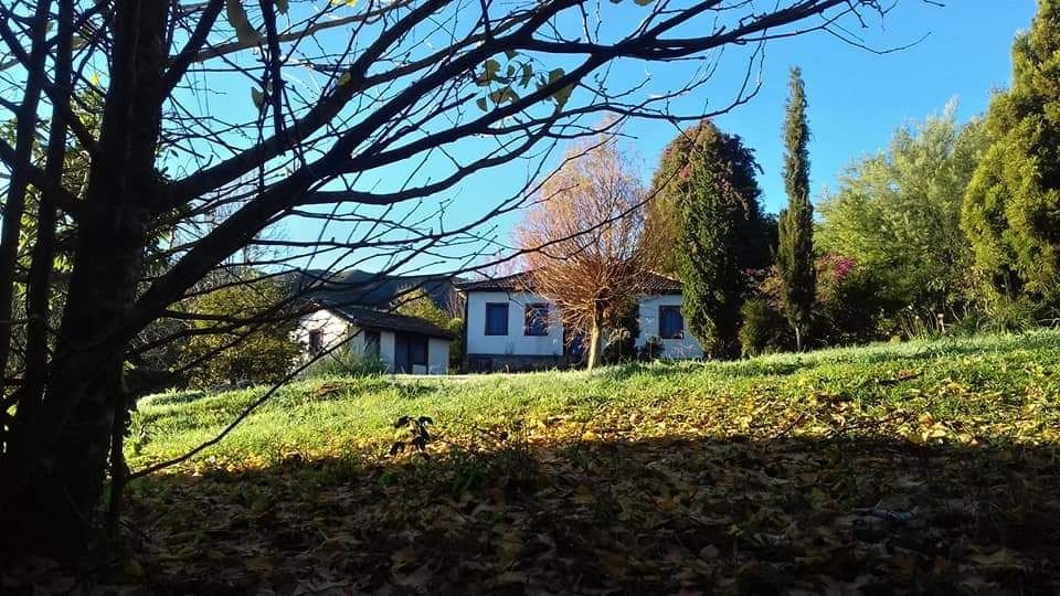 Terreno, 20 hectares - Foto 28