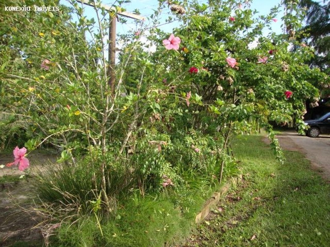 Chácara em Paraibuna/São Paulo — Ref 0NB58V — Imagem 20
