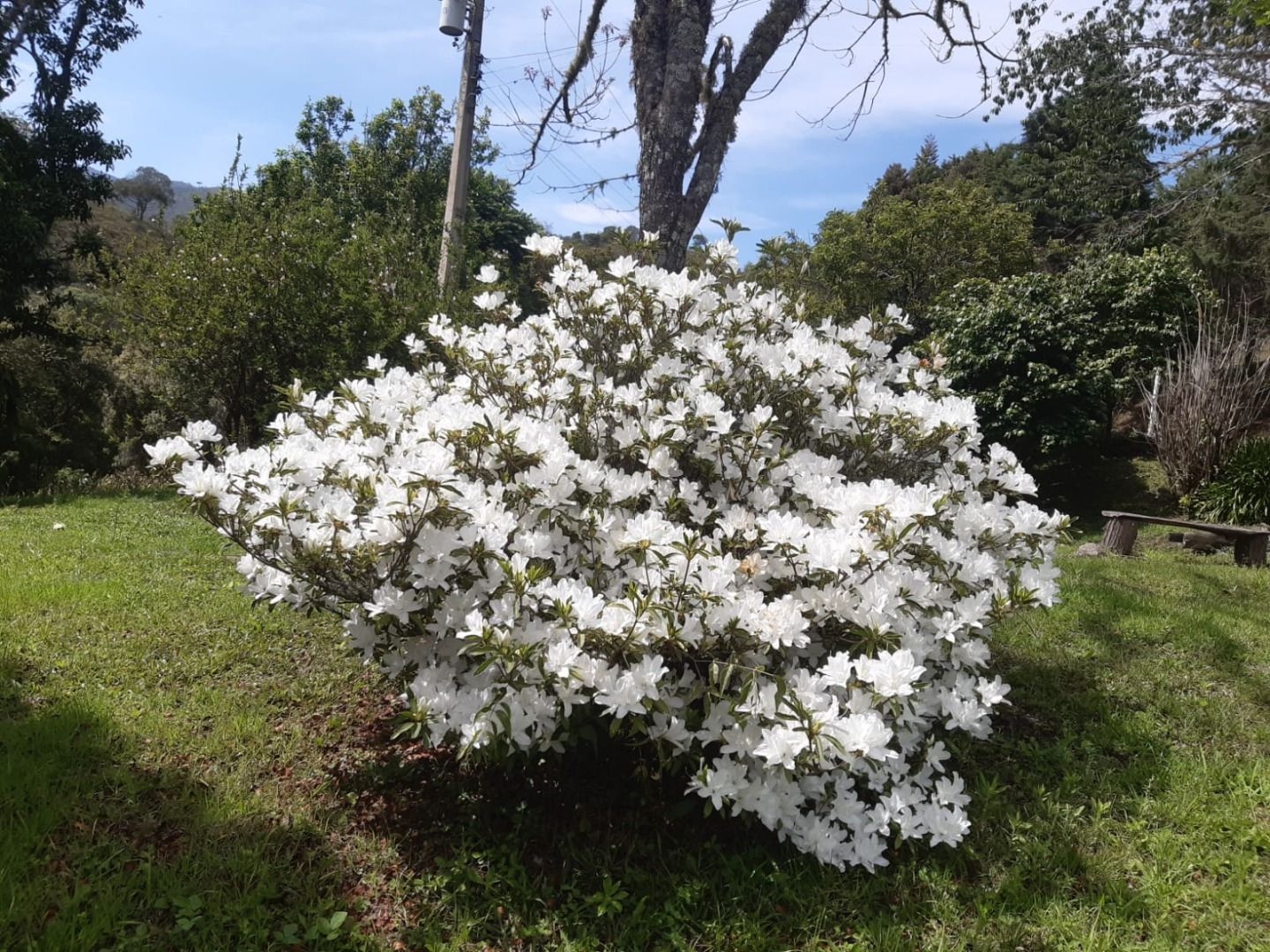 Terreno, 20 hectares - Foto 30