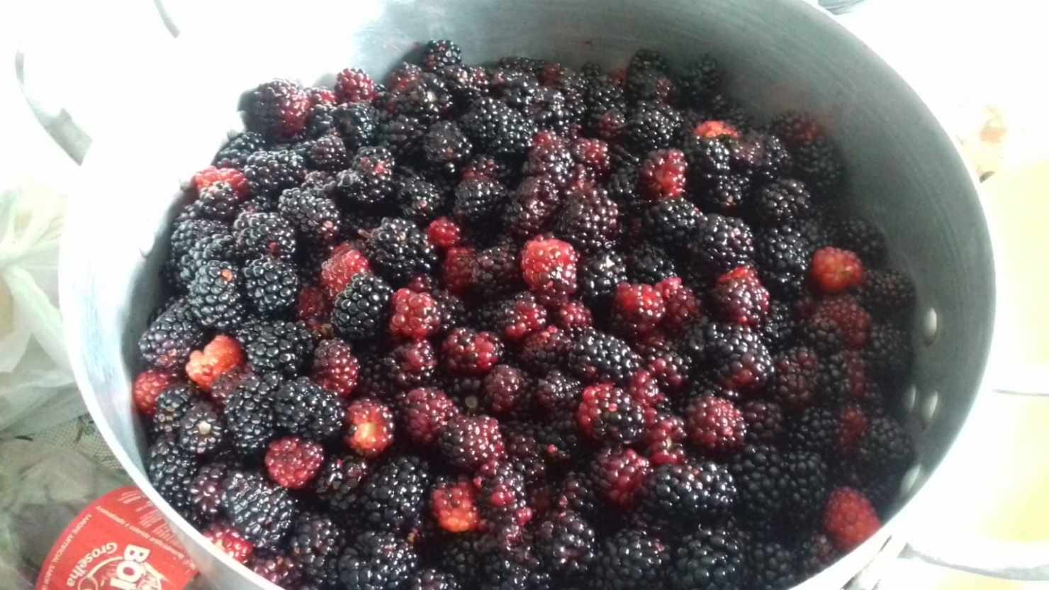 Terreno, 20 hectares - Foto 32