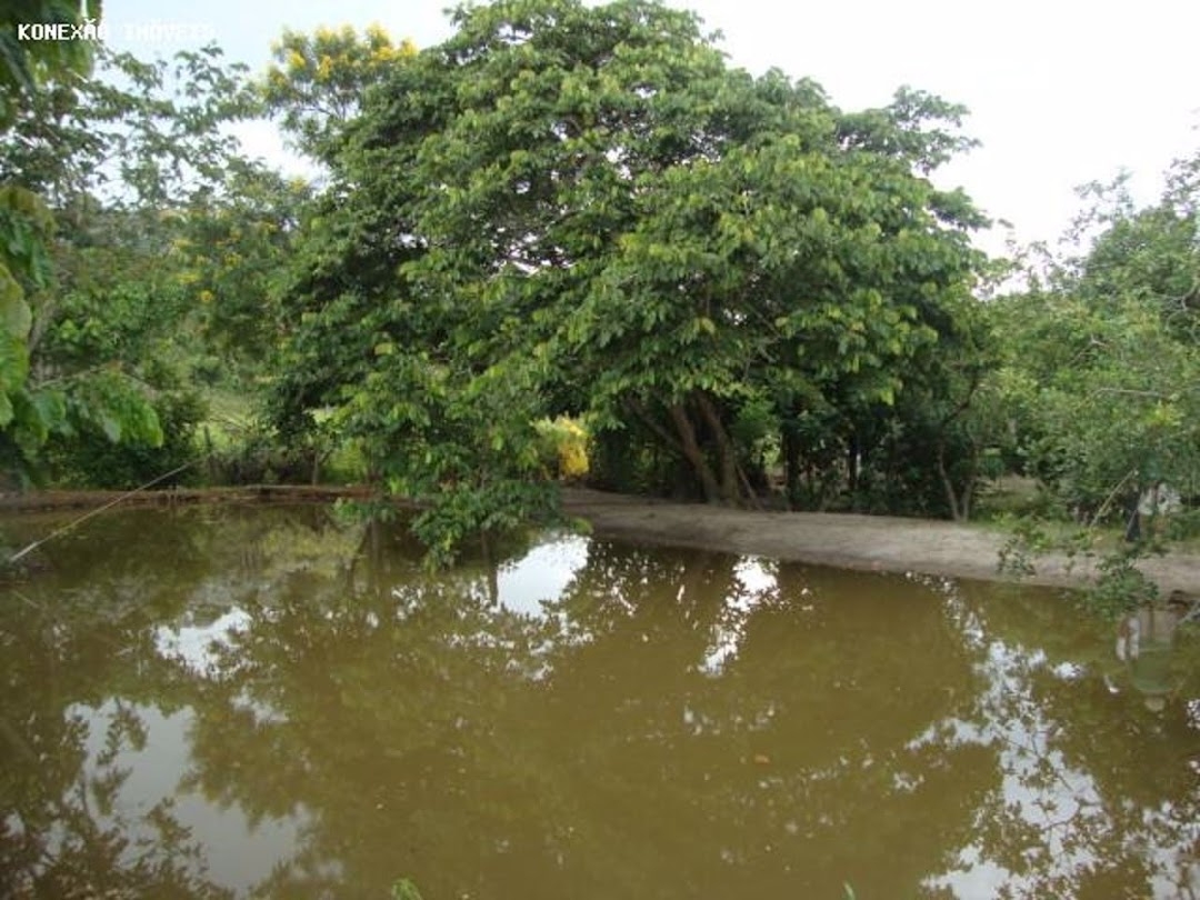 Chácara em Paraibuna/São Paulo — Ref 0NB58V — Imagem 12